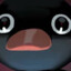 NOOT NOOT PLAYER