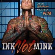 花鸟市场不打折