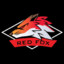 Redfox1