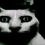 Tanuki