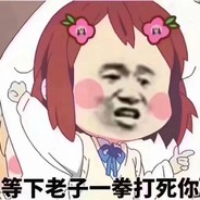 锤爆你的狗头~V~V~