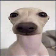 булька барабулька