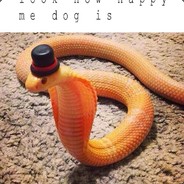 radical.snek