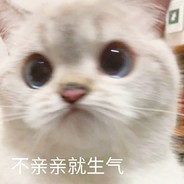 迷糊小猫长不高