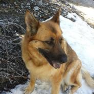 Pyro is a trans girl