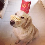 Happy together GG together