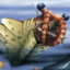 Anomalocaris Gaming (official)