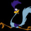 Roadrunner