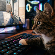 Player avatar