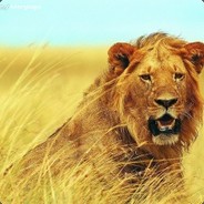 翻斗花园李老头