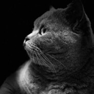 泡面鸡蛋加香肠