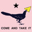 definitely a grackle