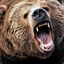 ANGRYBEAR