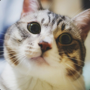 Yosuke