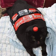 ARCH-VILE