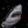 REQUIN VAILLANT