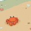 I have crabs