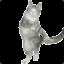 Katten på CS:GO hellcase.com