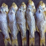 开着破船上前线