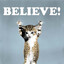 those who meow