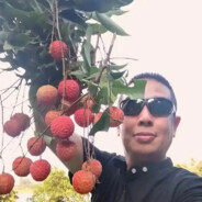 AAA老张荔枝批发