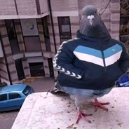 d̶r̶e̶t̶t̶t̶y̶