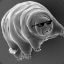 Agent_Tardigrade