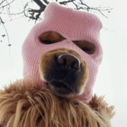 哔点悍匪蔡徐坤