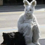 每天纠结吃什么