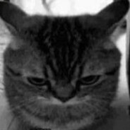 mnogoplakal