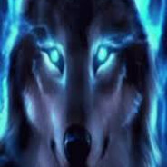 Avatar xxOliwierxx