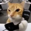 Cat on da phone