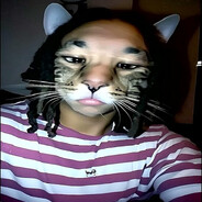 Z я лучший игрок Z