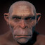 THEMISSINGLINK