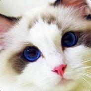 绝地求生关公子