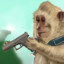 monkey with gun