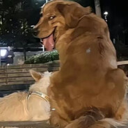 谷歌给我个账号