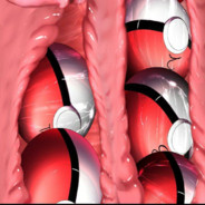 🇫ᵘᶜ🇰ʸᵒ🇺