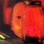 Jar Of Flies