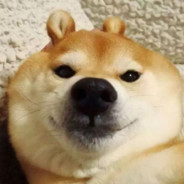 皮皮虾酸菜妹夫