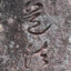 1366063465
