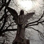 ColdmoonZ