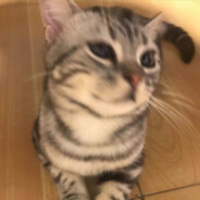 打的好不如接的好