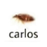 Mellamocarlos