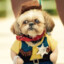 TED BOLOTA