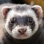 Mustela is Back