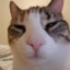 PØWFUU