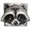 Raccoon_Pk