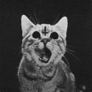 [NT]Omil