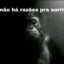 Macaco Triste